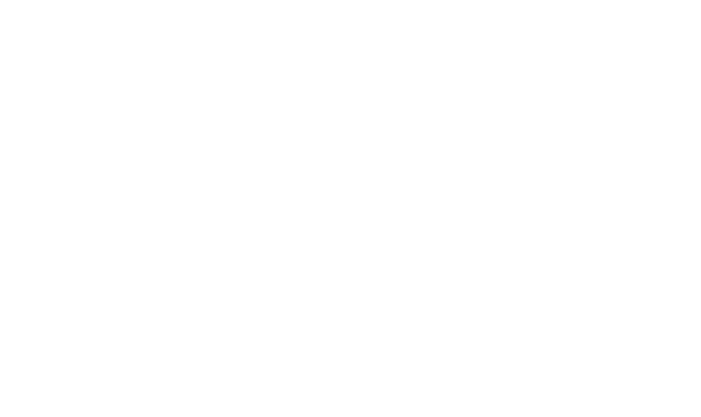 Holidazzle 2024